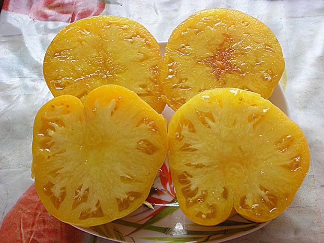 Семена:Томат Большой Лимонный Оксхард /Huge Lemon Oxheart/Лимонное бычье сердце/США